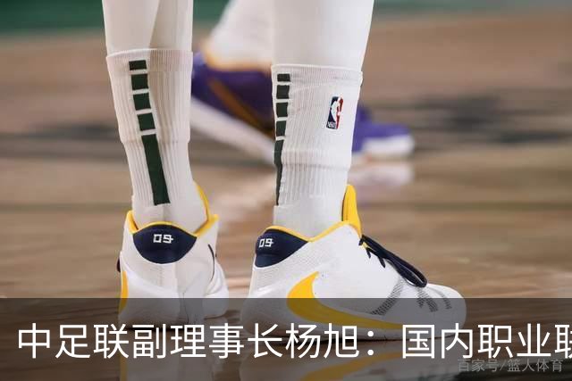 中足联副理事长杨旭：国内职业联赛要对标世界杯转播水准